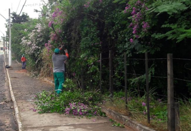 Prefeitura de Agudos faz ação integrada de adubação e podas de árvores em toda cidade