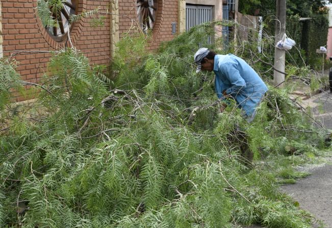 Prefeitura de Agudos amplia cronograma e morador poderá dispor de resto de poda todos os dias 
