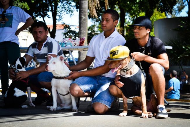 Mais de 100 cães participaram da 1ª Cãominhada