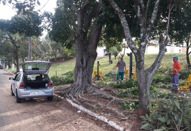 Secretaria de Meio Ambiente realiza adubação, limpeza e podas de árvores em toda cidade