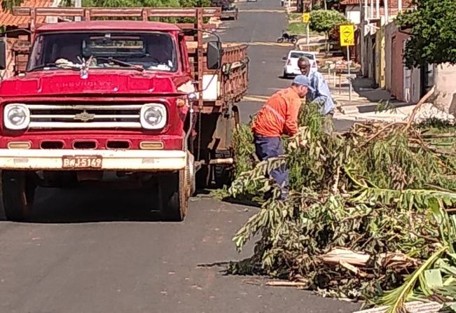 Prefeitura de Agudos muda cronograma de coleta de galhos em setembro para receber Projeto Cidade Limpa 