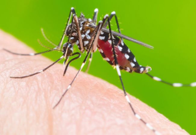 Prefeitura de Agudos realiza Mutirão de Combate à Dengue