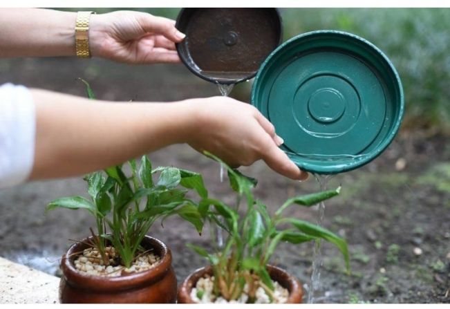 Semana Estadual de Mobilização de Combate ao Aedes Aegypti ocorre entre os dias 26 e 30 de novembro