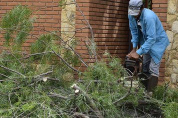 Prefeitura organiza coleta de galhos e resto de podas. Morador não deve colocar materiais nas calçadas até final do março