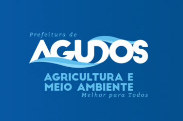 Reestruturação do COMDEMA (Conselho Municipal de Defesa do Meio Ambiente)