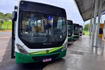 Circular Gratuito não circula neste dia 25