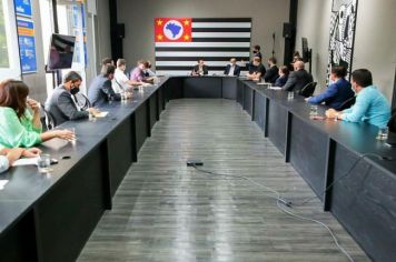 Prefeito Fernando Octaviani participa de reunião em São Paulo para cobrar por mais leitos para tratamento da Covid-19