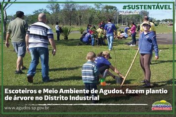 Escoteiros e Meio Ambiente de Agudos, fazem plantio de árvore
