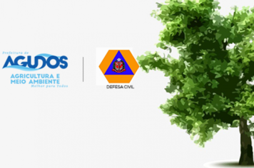 Laudo da Defesa Civil atesta necessidade da Prefeitura retirar árvore da entrada do Cemitério