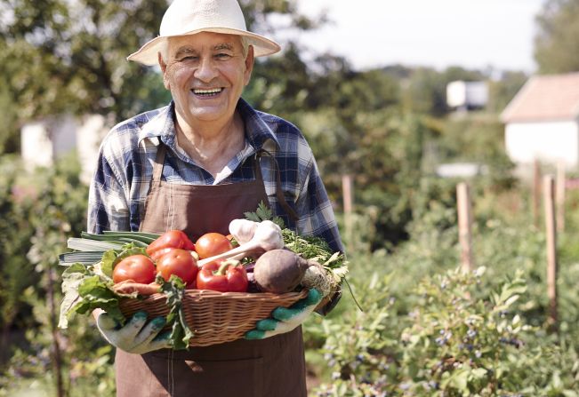 Prazo para declaração do Dipam-A vai até dia 31 de março